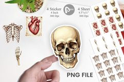 Gothic Anatomy Sticker Product Image 1
