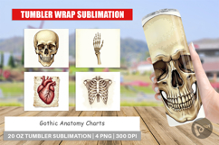 Gothic Anatomy Tumbler Product Image 1