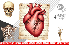 Gothic Anatomy Clipart Product Image 1