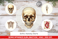 Gothic Anatomy Wind Spinner Product Image 1