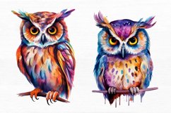 Owl Watercolor Sublimation Clipart Product Image 2