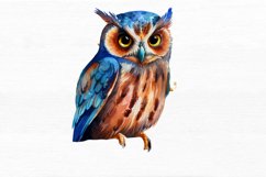 Owl Watercolor Sublimation Clipart Product Image 3
