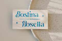 Gotten Summer - Modern Serif Font Product Image 2