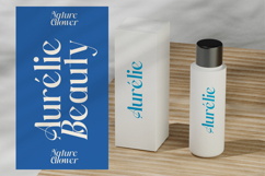 Gotten Summer - Modern Serif Font Product Image 4