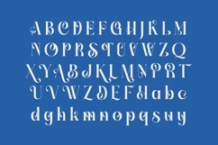 Gotten Summer - Modern Serif Font Product Image 14