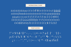 Gotten Summer - Modern Serif Font Product Image 19