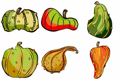 Gourd Pumpkin Harvest Thanksgiving Illustration  Collection Download by Squeeb Creative