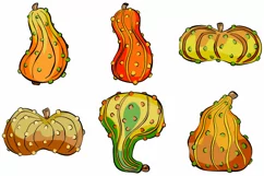 Gourd Pumpkin Harvest Thanksgiving Illustration  Collection Download by Squeeb Creative