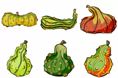 Gourd Pumpkin Harvest Thanksgiving Illustration  Collection Download by Squeeb Creative