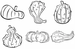 48 Gourd Pumpkin Harvest Thanksgiving SVG PNG Illustrations Product Image 3