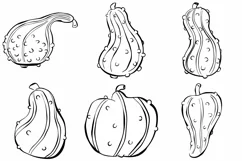 48 Gourd Pumpkin Harvest Thanksgiving SVG PNG Illustrations Product Image 4