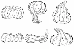 48 Gourd Pumpkin Harvest Thanksgiving SVG PNG Illustrations Product Image 2