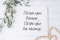 Graceful Willow Script Product Image 5