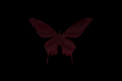 Gradient line art style butterfly character design Product Image 1