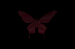 Gradient line art style butterfly character design Product Image 2