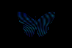 Gradient line art style butterfly character graphic Product Image 1