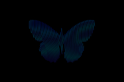 Gradient line art style butterfly character graphic Product Image 2