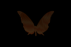 Gradient line art style butterfly character isolated Product Image 1