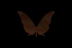 Gradient line art style butterfly character isolated Product Image 2