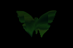 Gradient line art style butterfly character vector Product Image 1