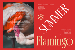 Gradneght - Modern Display Serif Product Image 7