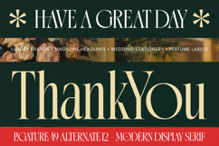 Gradneght - Modern Display Serif Product Image 20