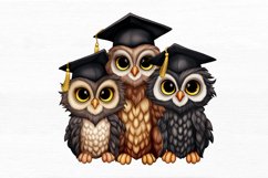 Graduation Owl Friends Watercolor Sublimation clipart Product Image 7