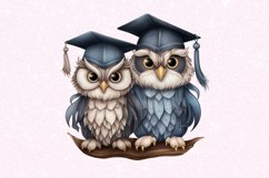 Graduation Owl Friends Watercolor Sublimation clipart Product Image 6