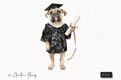 Grad Pup English Mastiff Clipart | Graduation PNG Product Image 1