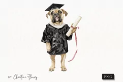 Grad Pup English Mastiff Clipart | Graduation PNG Product Image 1