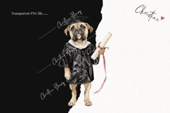 Grad Pup English Mastiff Clipart | Graduation PNG Product Image 2