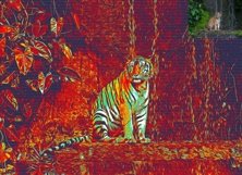 Graffiti Art Photoshop Action Product Image 6