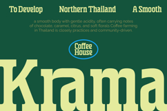 Grafik - Condensed Slab Serif Product Image 7