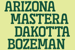 Grafik - Condensed Slab Serif Product Image 8