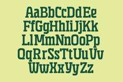 Grafik - Condensed Slab Serif Product Image 14