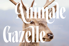 Grafistye - Modern Display Product Image 6