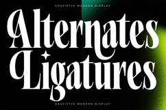 Grafistye - Modern Display Product Image 13