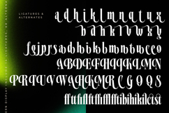 Grafistye - Modern Display Product Image 19