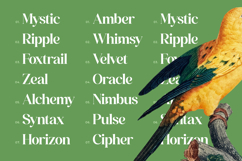 Grand Highland Modern Serif Font Product Image 5