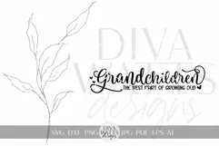 Grandchildren The Best Part Of Growing Old SVG Grandkids SVG Product Image 2