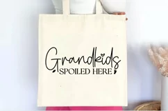 Grand kids spoiled here SVG , Family Reunion SVG Product Image 3
