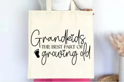Grandkids the best part of growing old SVG Product Image 3
