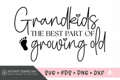 Grandkids the best part of growing old SVG Product Image 1