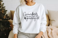 Grandkids the best part of growing old SVG Product Image 2