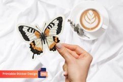 Graphic Butterfly Sticker, Colorful Butterfly Sticker Product Image 1