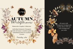 Autumn Wildflowers Clipart Alphabet &amp; Patterns Product Image 2