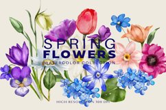 Watercolor Spring Flowers Clipart Huge Collection Product Image 1