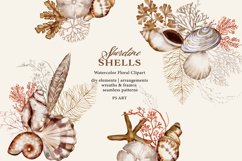 Watercolor Seashell Clipart Collection Product Image 2