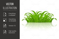Green Grass Product Image 1