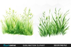 Watercolor Grass Graphics Clipart Product Image 1
